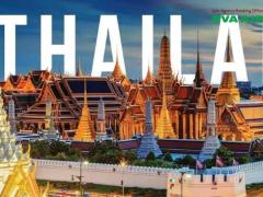 Mang thú cưng đến Thái lan bằng EVA Air: Hướng dẫn chi tiết